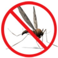 no-mosquito